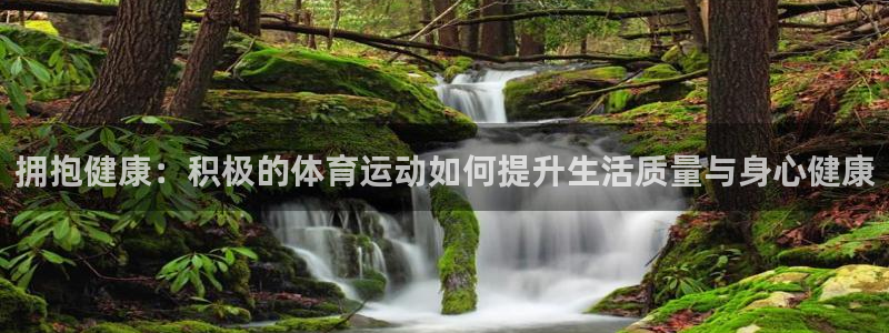 乐视体育负责人陈欣：拥抱健康：积极的体育运动如何提升生活质量与身心健康