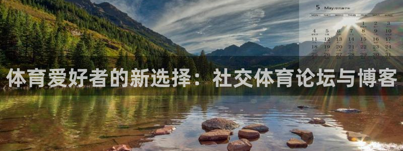 乐视体育高清在线直播观看免费：体育爱好者的新选择：社交体育论坛与博客
