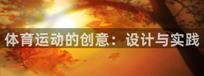 乐视体育的老板是谁：体育运动的创意：设计与实践