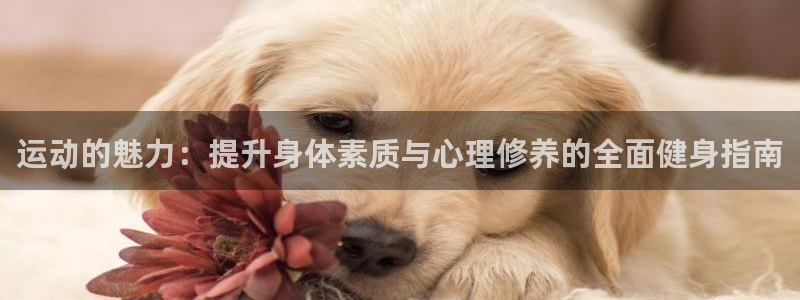 乐视体育视频：运动的魅力：提升身体素质与心理修养的全面健身指南