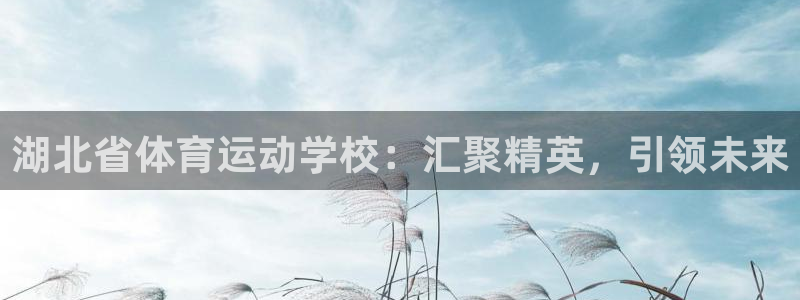 乐视体育直播：湖北省体育运动学校：汇聚精英，引领未来