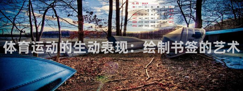 乐视体育视频：体育运动的生动表现：绘制书签的艺术