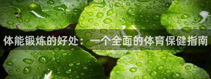乐视体育：体能锻炼的好处：一个全面的体育保健指南