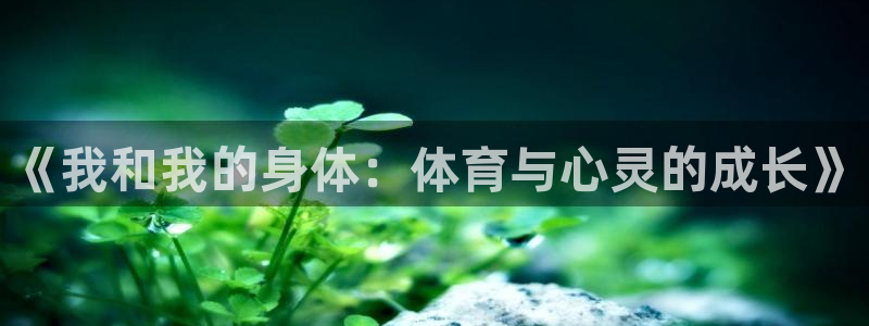 乐视体育在线直播观看：《我和我的身体：体育与心灵的成长》